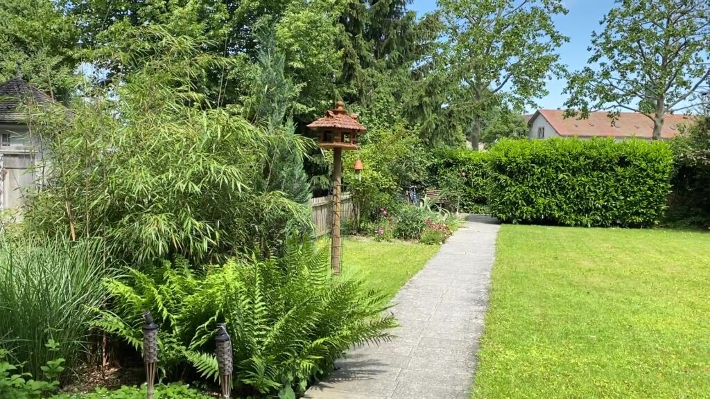 BG Umgebung-vlcsnap-2020-05-30-13h33m53s476