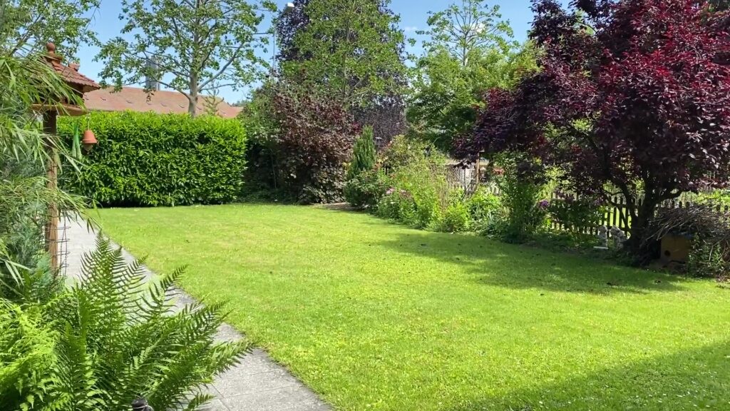 BG Umgebung-vlcsnap-2020-05-30-13h34m05s714