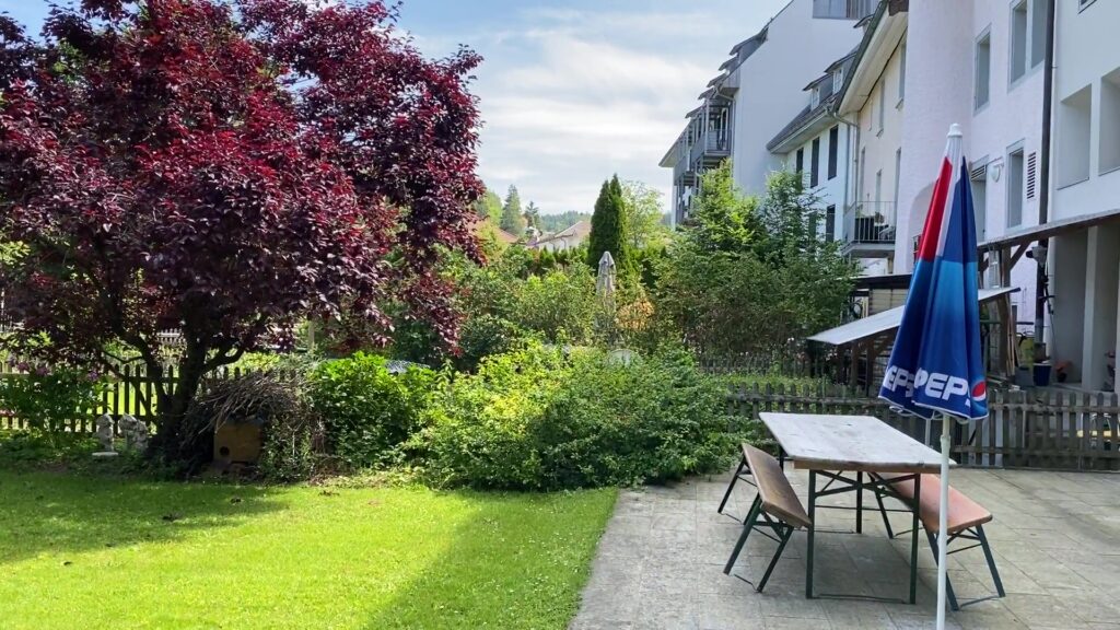 vlcsnap-2020-05-30-13h34m18s575